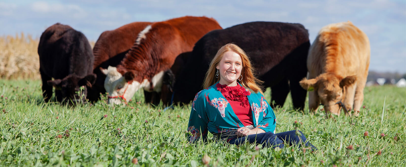 Zimmerman in field with cow