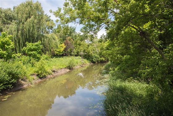 Creek