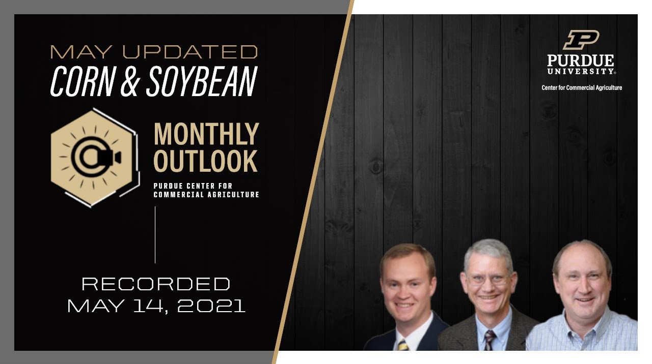 cornsoybeanmay.jpg