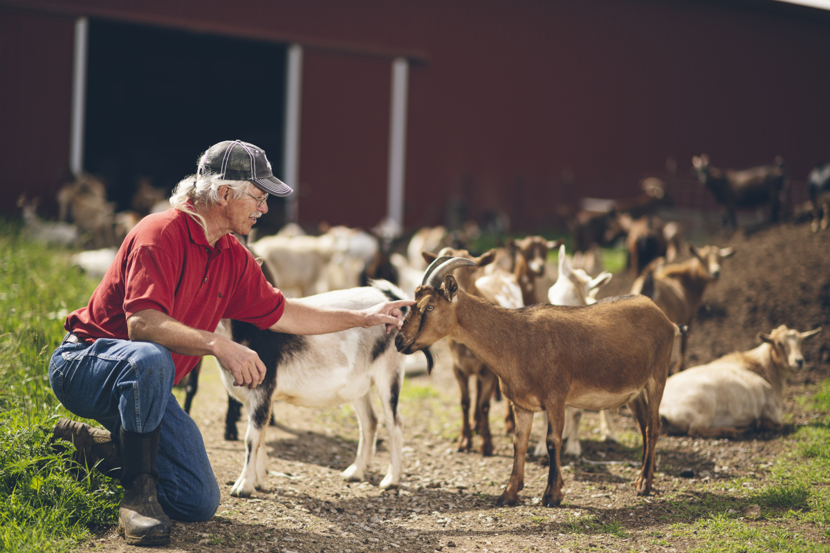 210623-agcomm-1248---redbud-farm.jpg