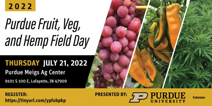 Purdue Fruit, Veg, and Hemp Field Day on Thursday July 21, 2022 at the Purdue Meigs Ag Center