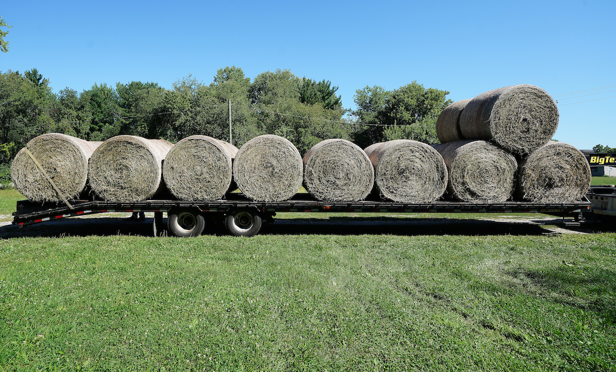 round bales on a wagon