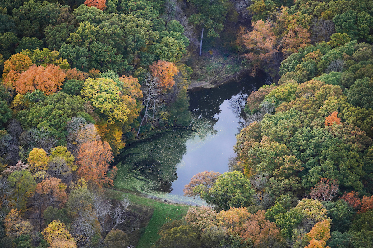 aerial view of woods, trees are orange and red from autumn