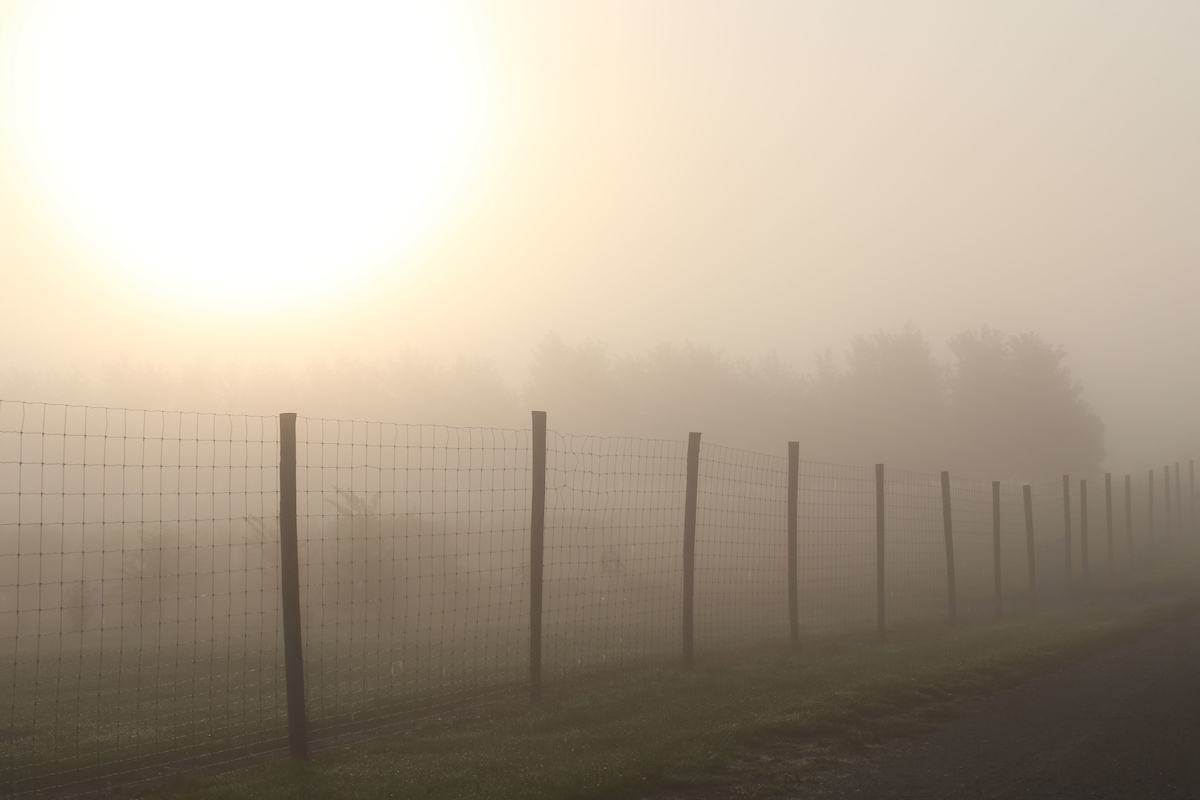 Purdue Indiana farm fence during foggy morning