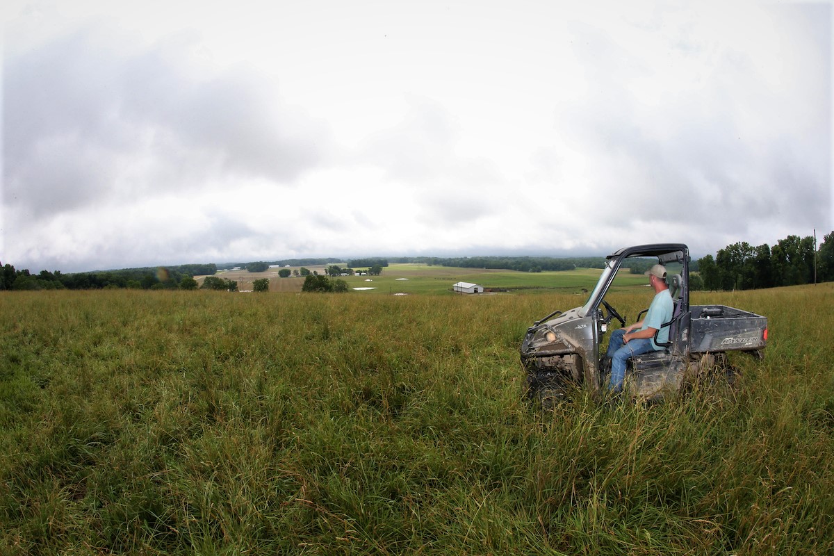 Purdue Extension man on gator looking at field