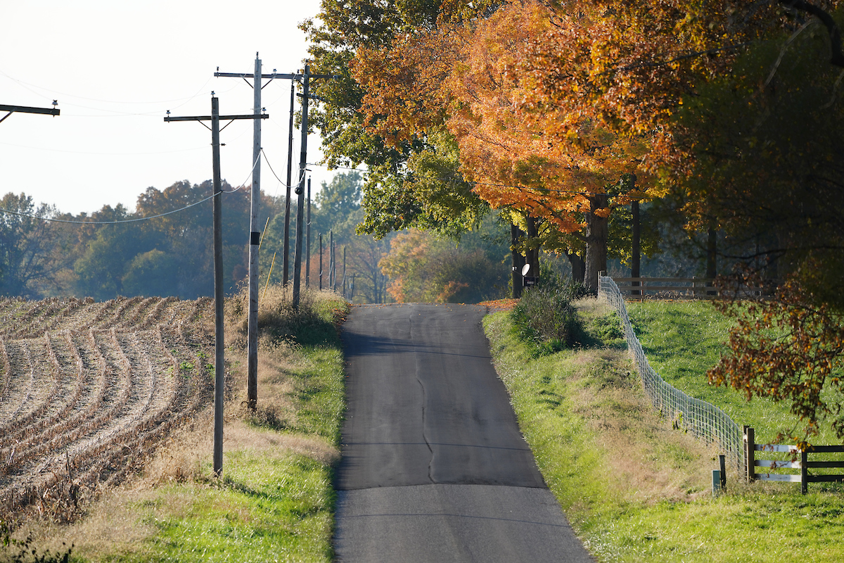fall trees and harvested corn field with rural road