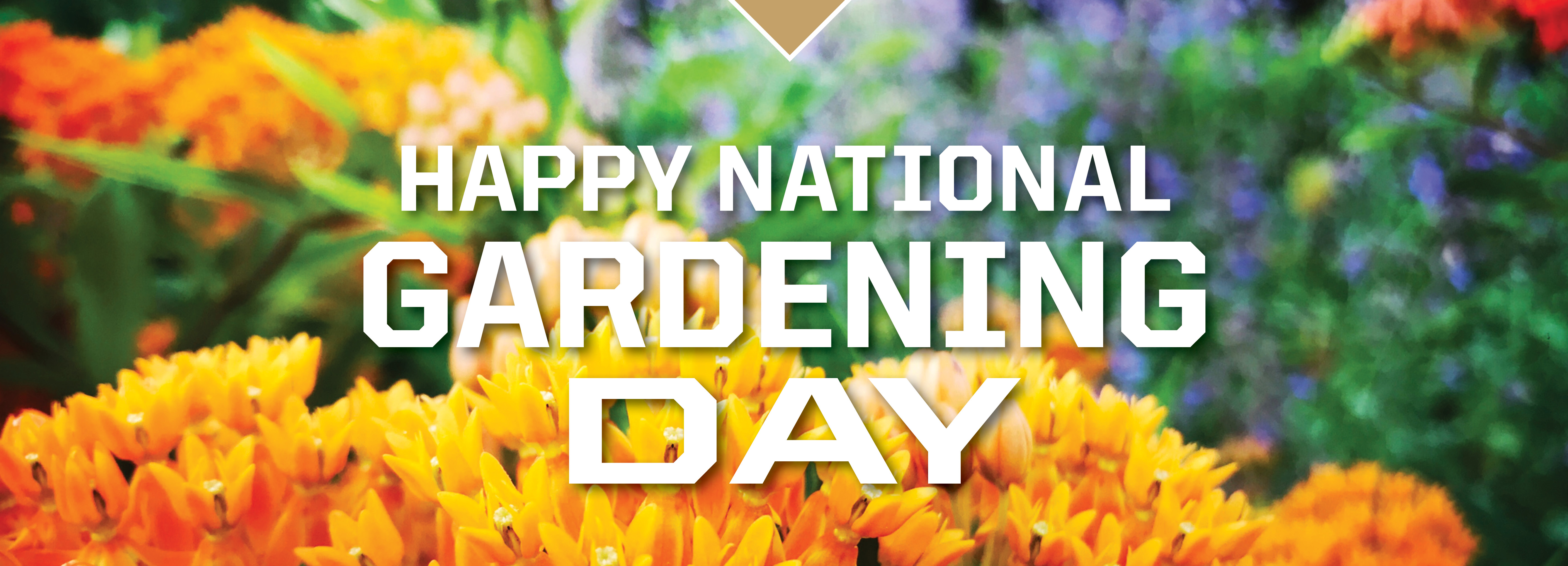 national garden day web banner