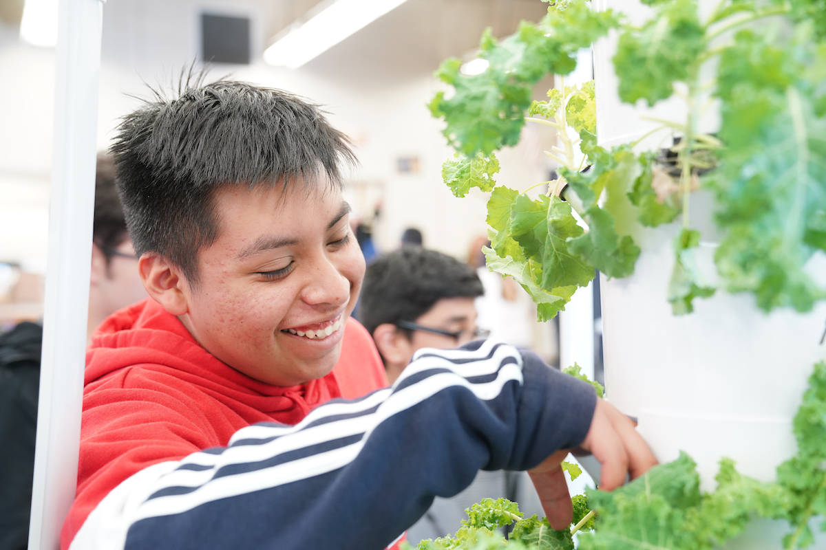 Teenage boy smiles while touching leafy greens growing from aeroponic tower.