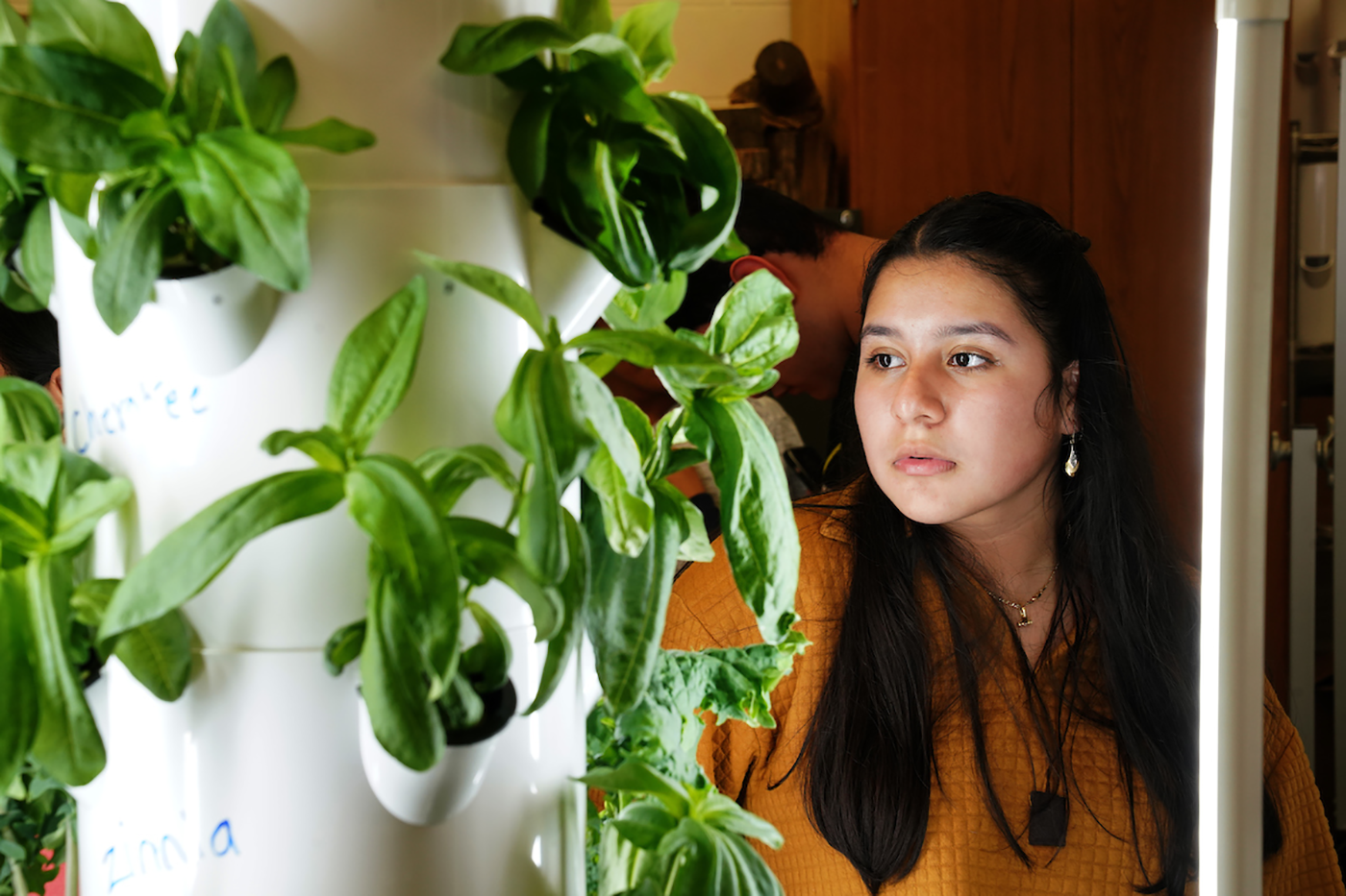 Teenage girl stares intently at aeroponic grow tower with green leafy greens growing out of multiple holes.