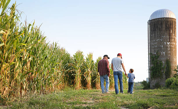 farming generations, father, son, and grandson walking in a cornfield