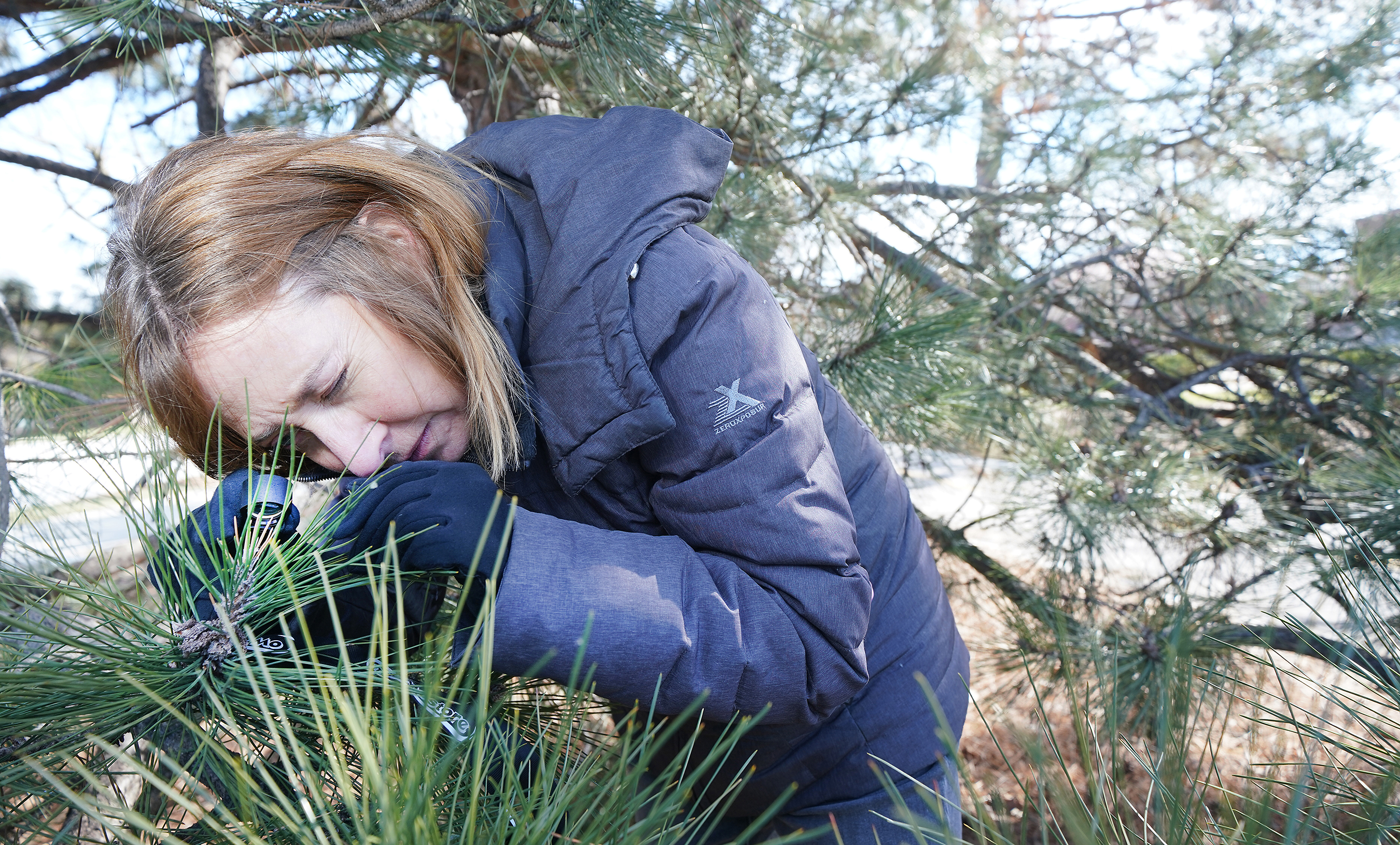 botanist looking at species up close