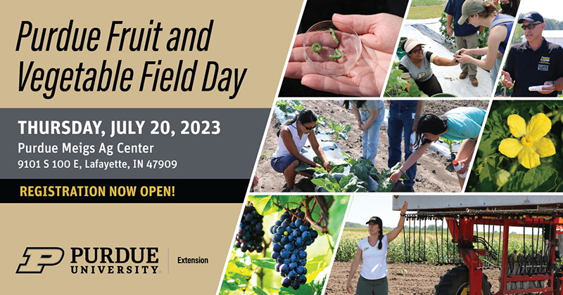 fruit and veggie day at Purdue University field days Extension