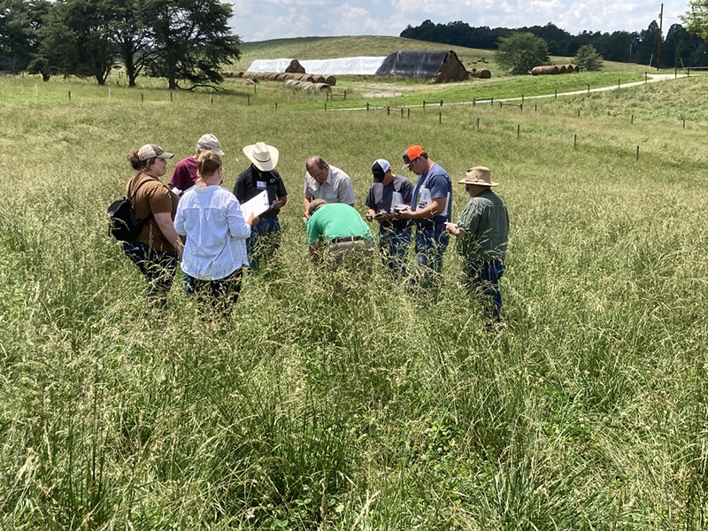 attendees engage during an Indiana Grazing School class