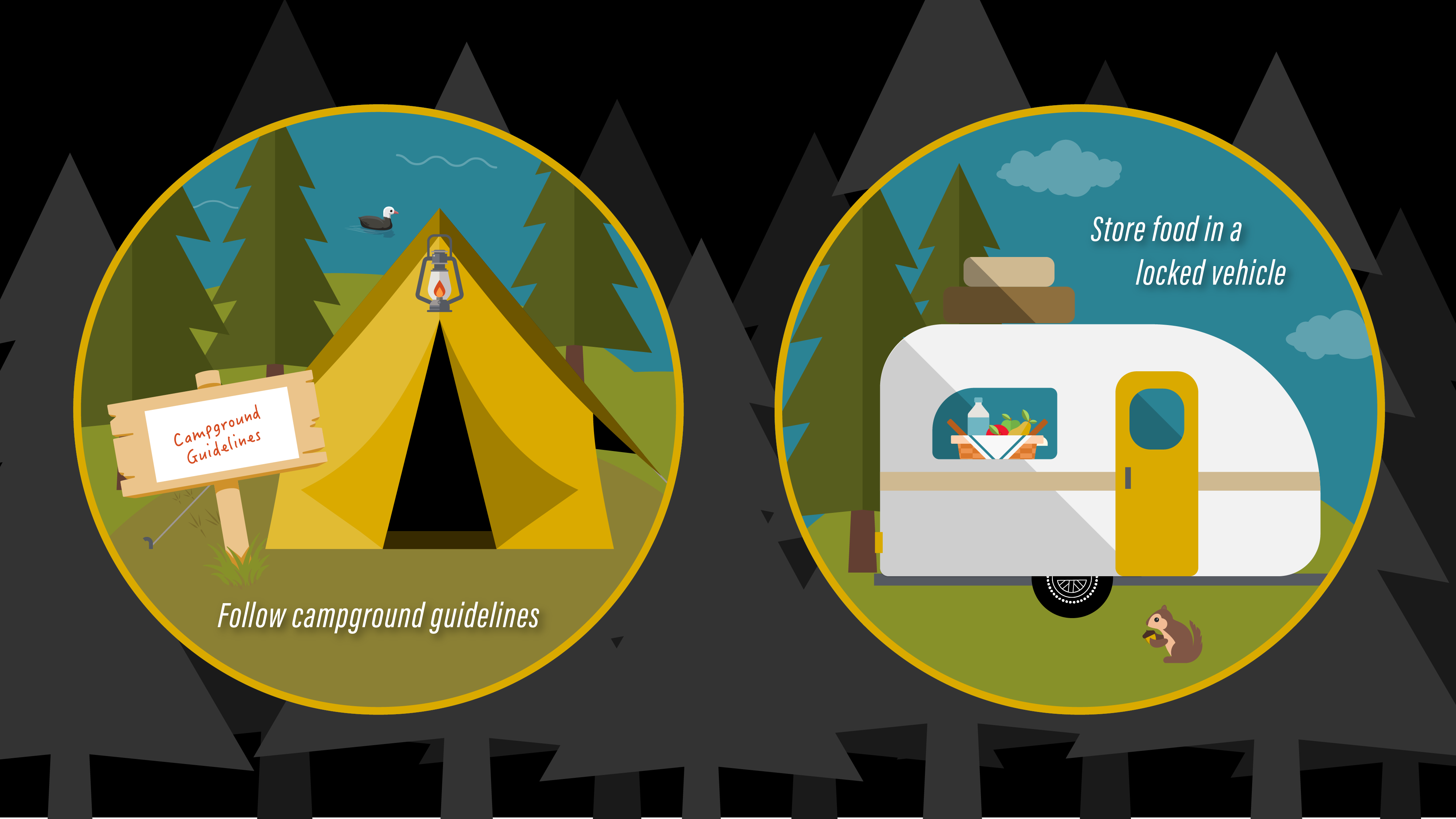follow campground guidelines, store food in a locked vehicle