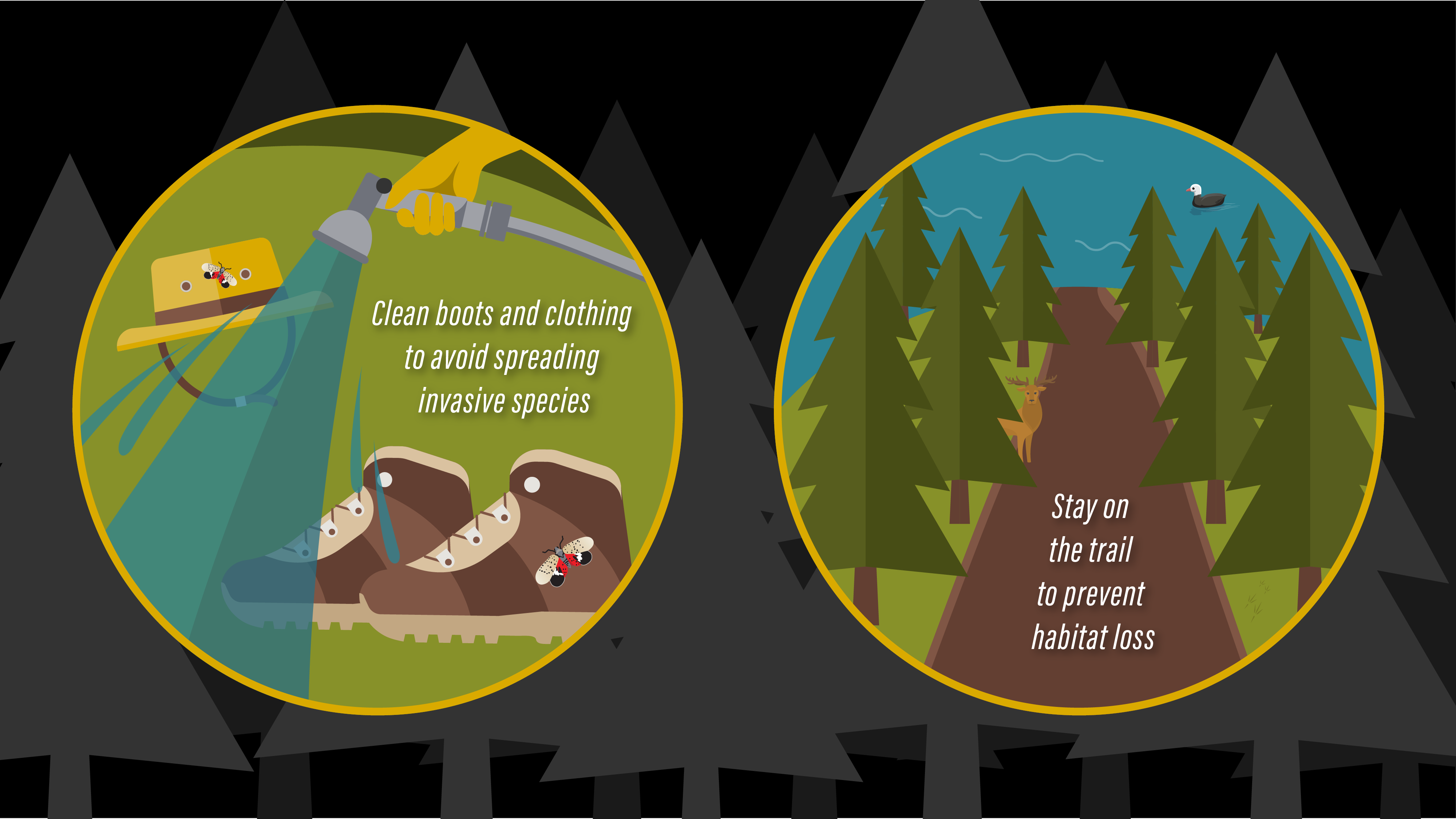 clean boots and clothing to avoid spreading invasive species, stay on the trail to prevent habitat loss