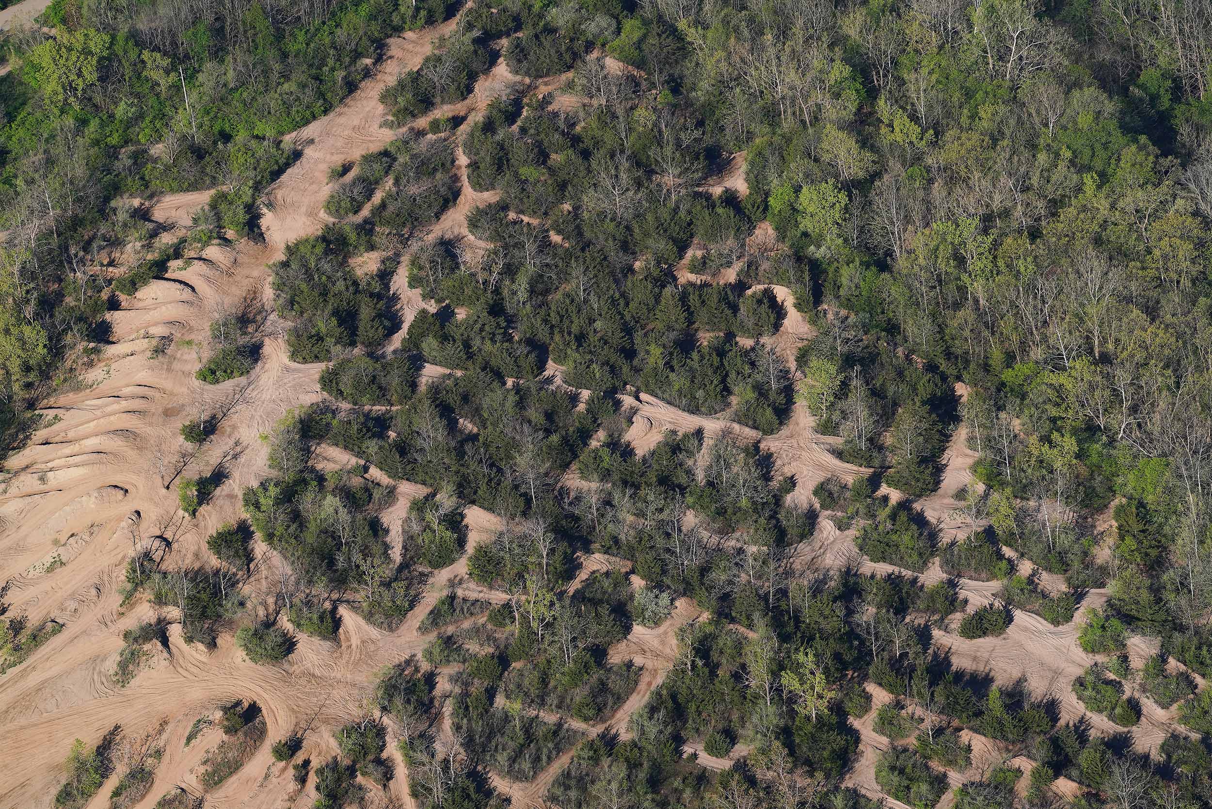 aerial view of hardwood trees