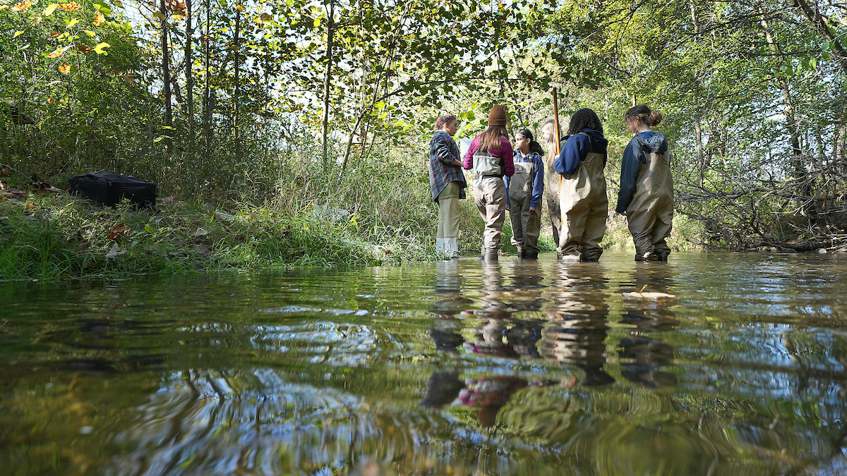 forestry students standing in river participating water quality experiments