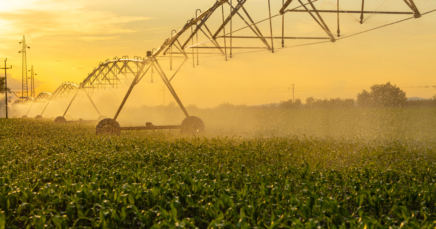 irrigation system spraying crops with water in Indiana