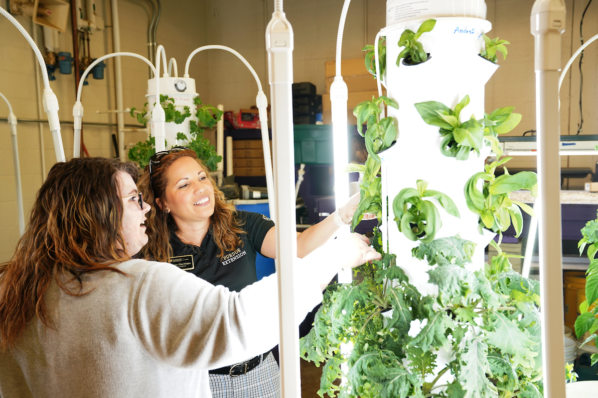hydroponics at Purdue Extension