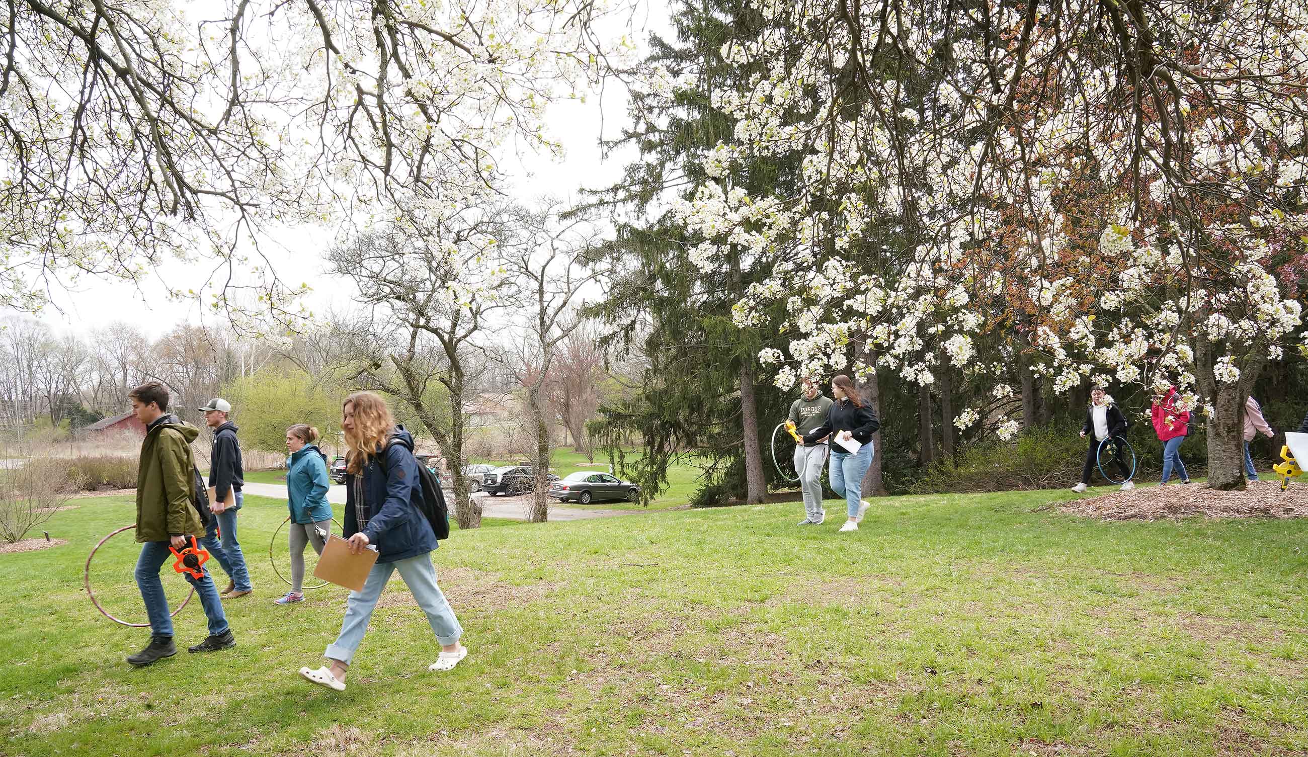 Purdue University students walking under blossoming trees