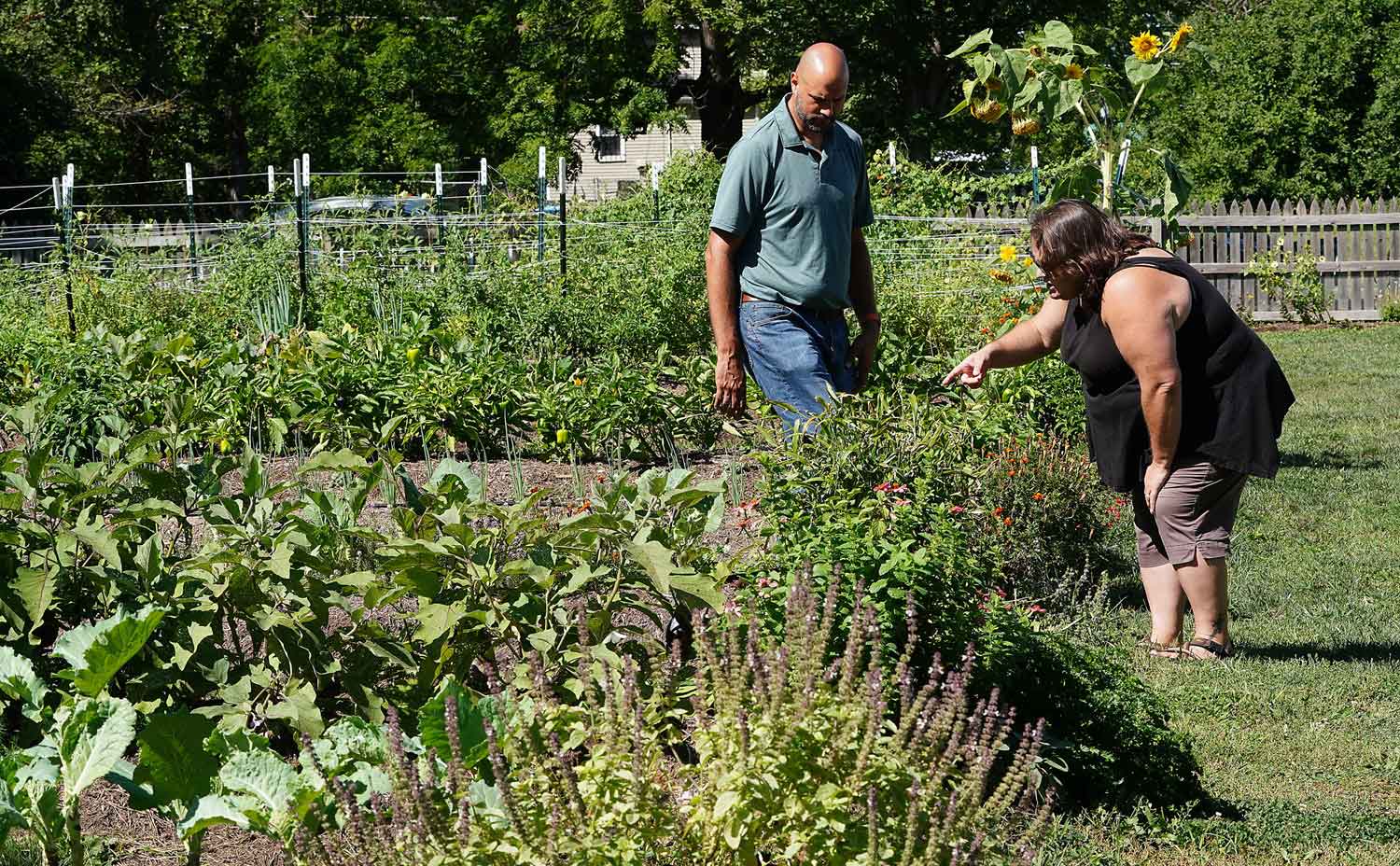 urban agriculture, gardening in the community