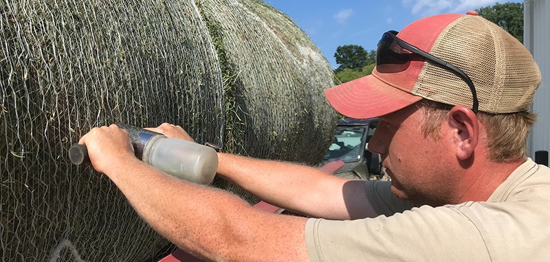 A man probes a rolled bale of hay