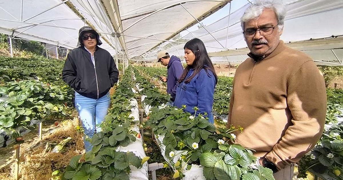 Krishna Nemali stands near racks of plants growing hydroponically.