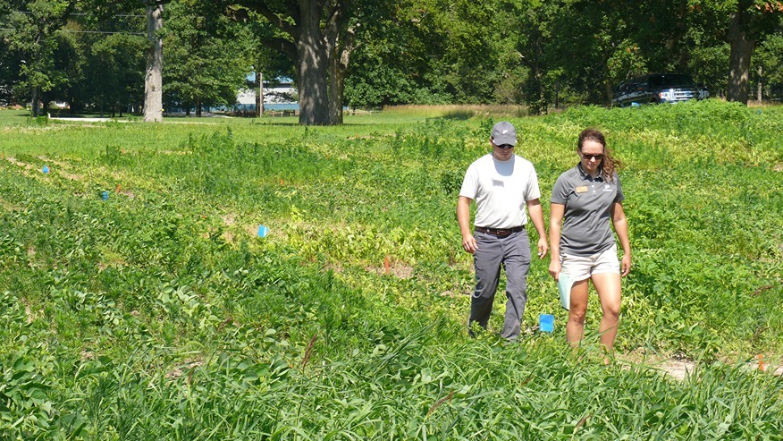 Two people walk through a weed research plot