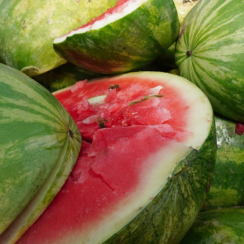 watermelon