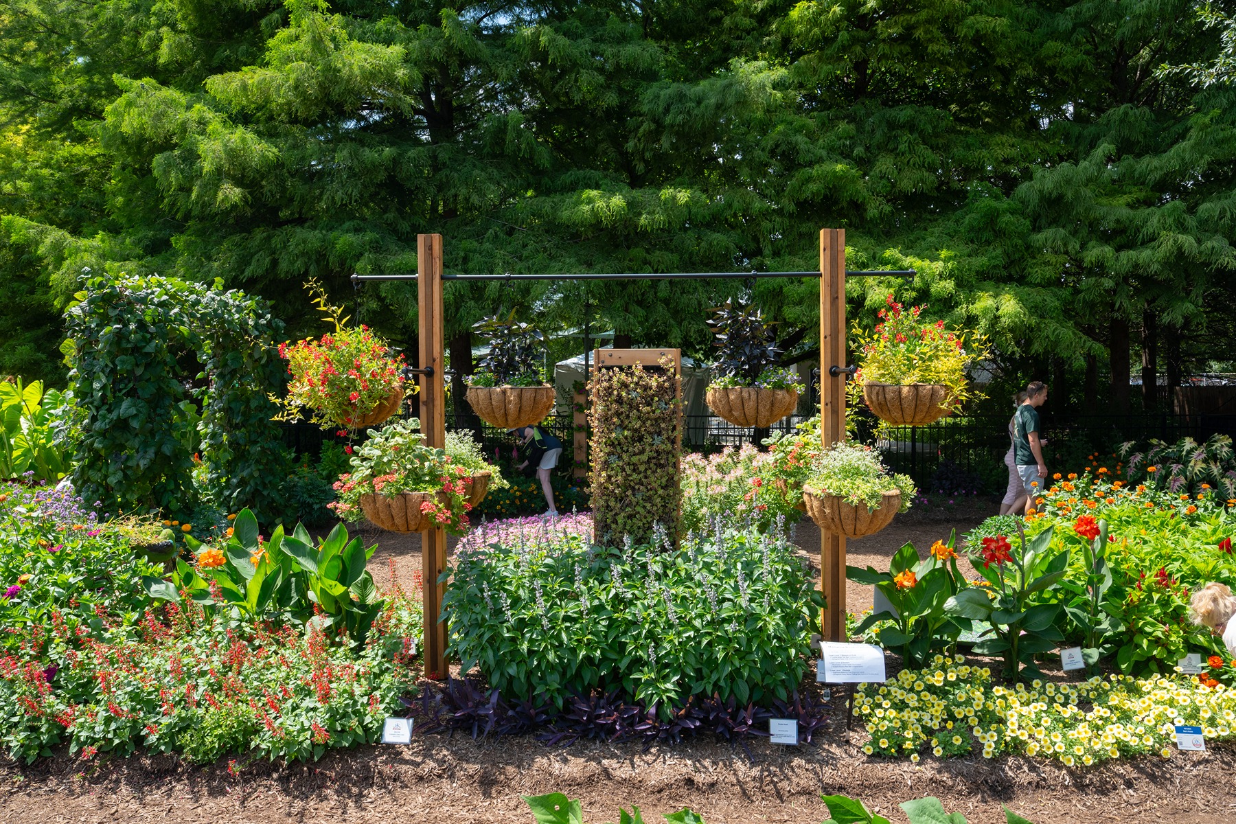 A fall demonstration garden with perennials and hanging plants