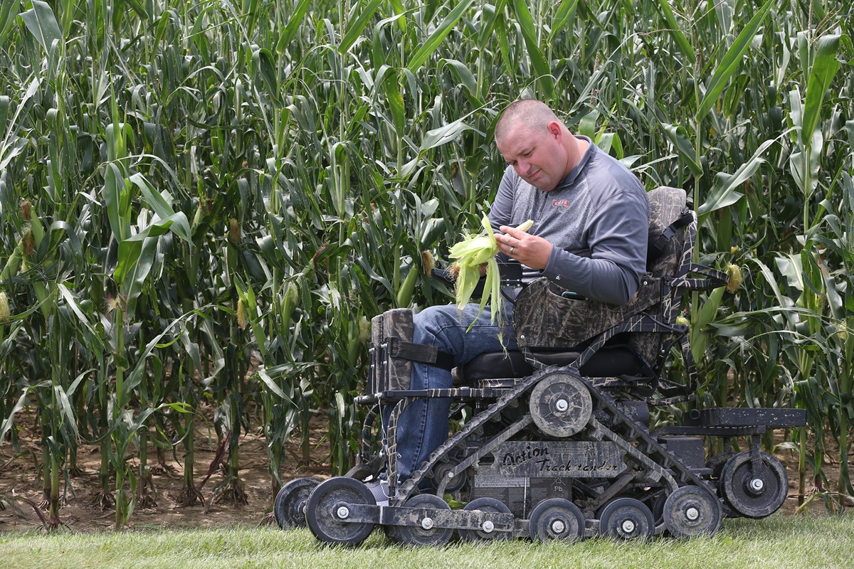 A farmer in an all-terrain wheelchair examines an ear of corn