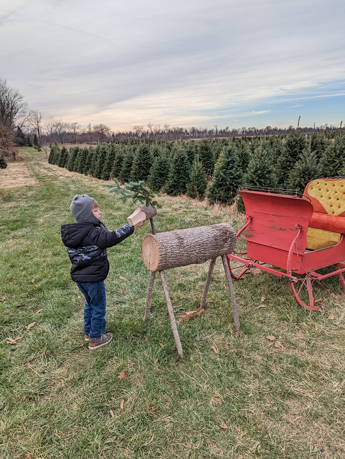 A boy plays with a wooden reindeer