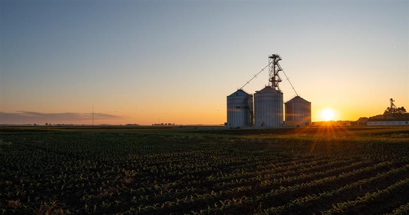 The sun rises behind three grain bins.