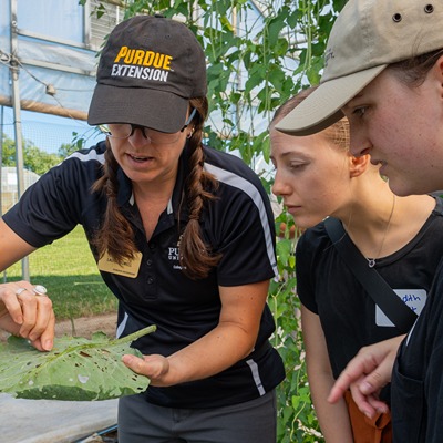 An Extension specialist shows holes in a leaf to two attendees.