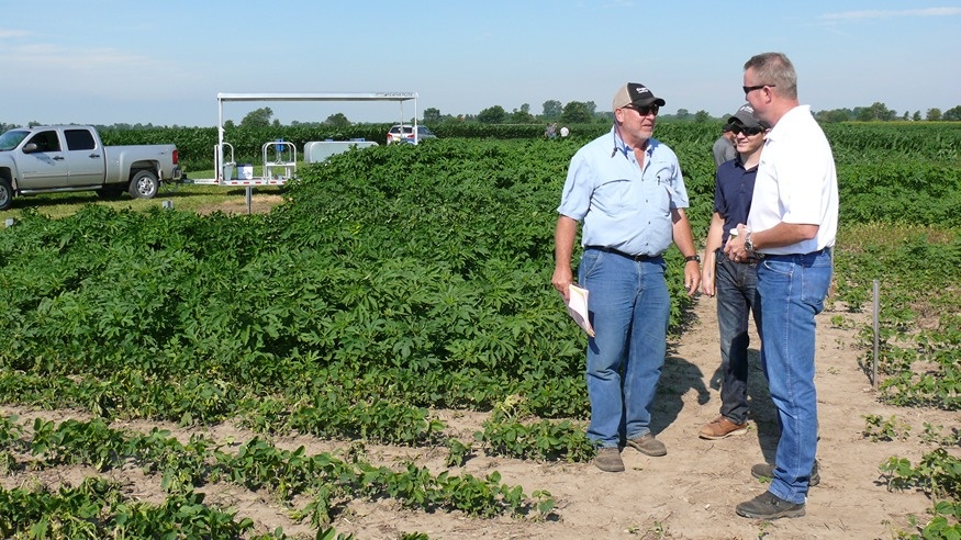 A group of three people talk in a field in front of a large plant