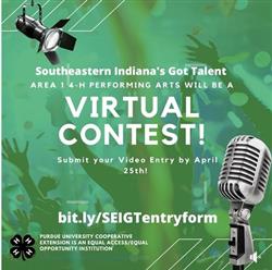 virtual contest