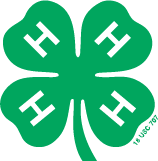 4-H Clover