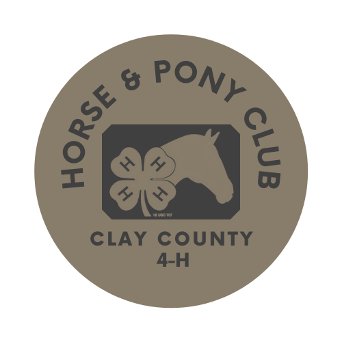 horse--pony-logo-1.png