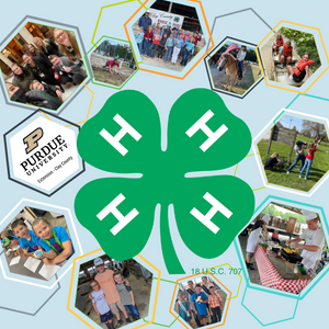 join 4-H
