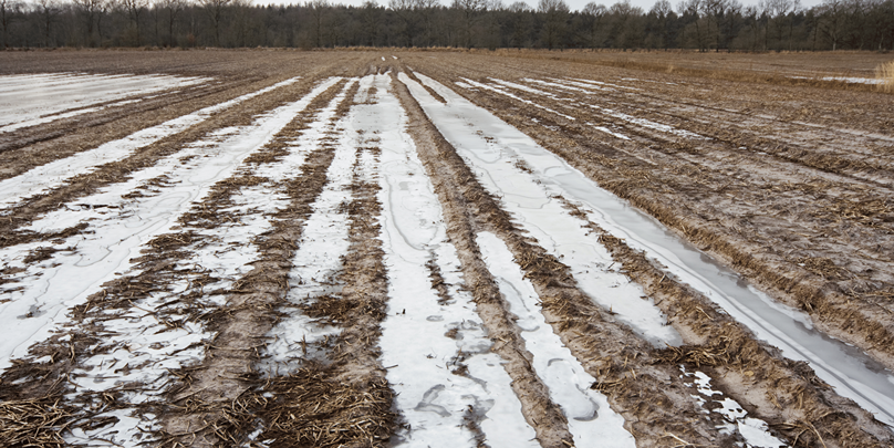 Muddy, wet, and snowy crop field