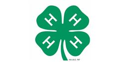 4-H clover