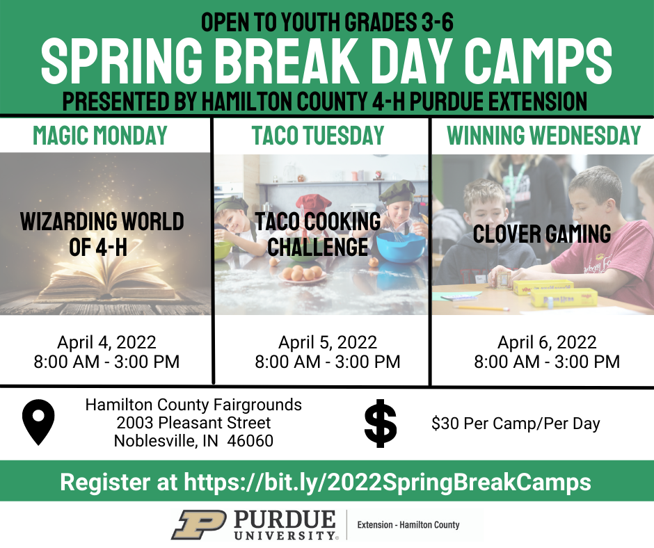 spring-break-camps-2022facebook-post-7.png