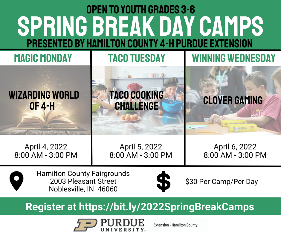 2022 Spring Break Camps