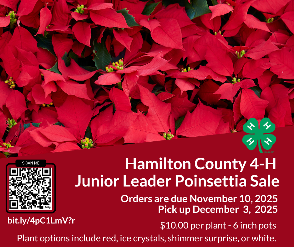 junior Leader Poinsettia Sale