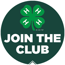 club4-H.jpg