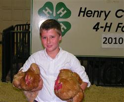 poultry.jpg