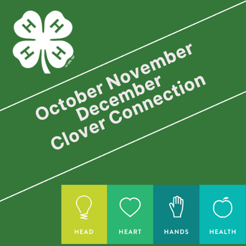 Oct Nov Dec Clover Connection