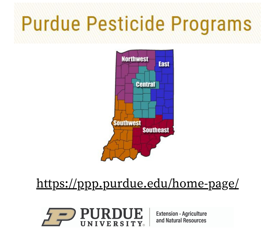 httpsppp.purdue.eduhome-page.png