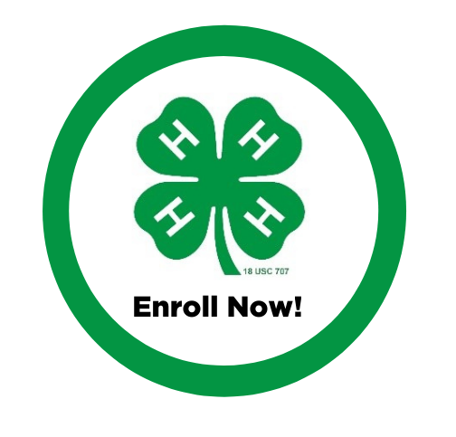 enroll-now-2.png