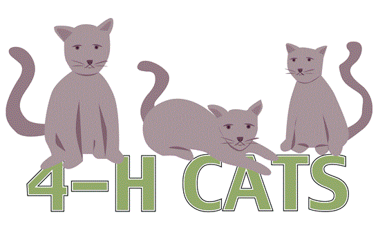 4-H-cats.jpg